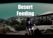 A Desert Feeding Porn